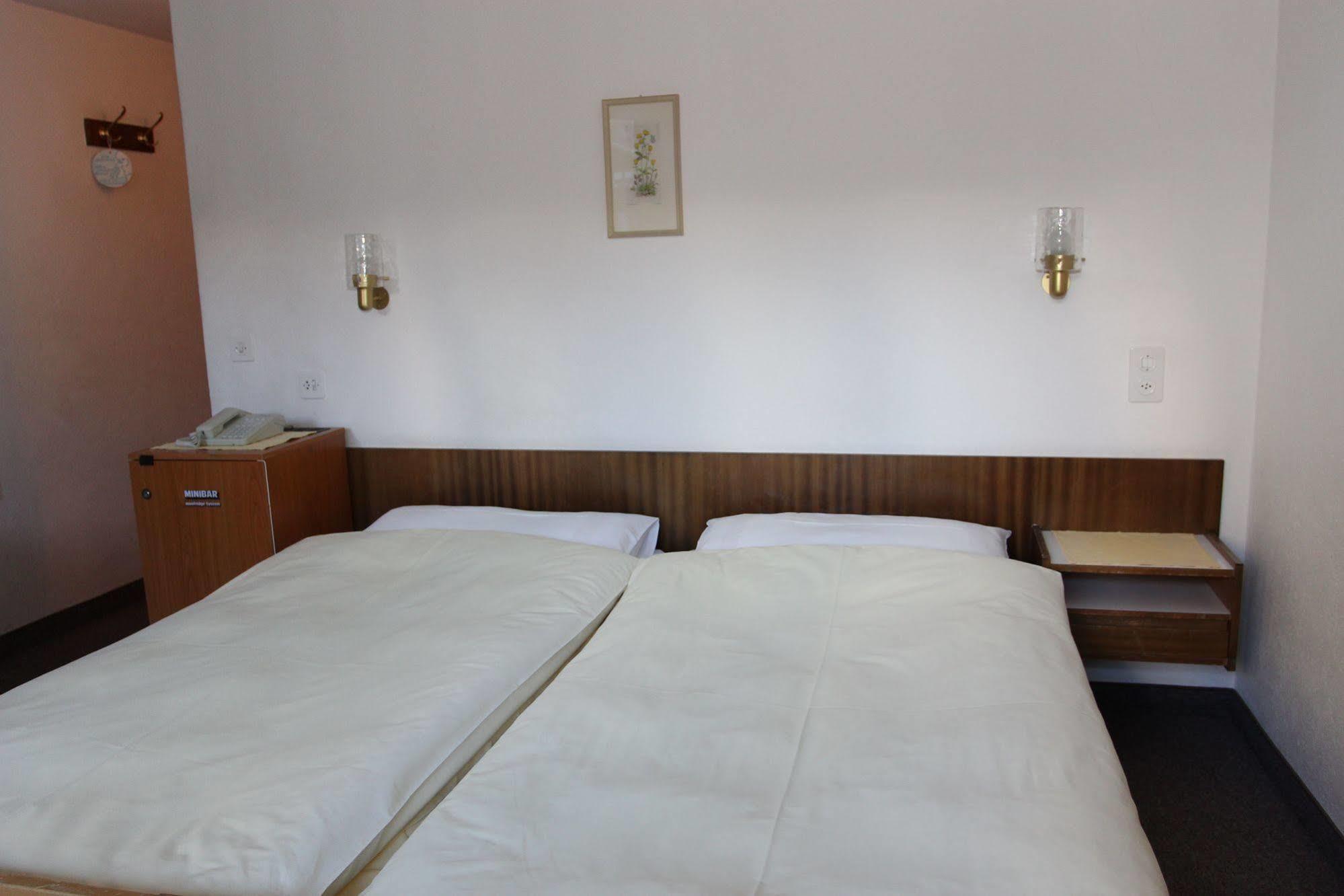 Hotel Alfa Церматт Екстер'єр фото